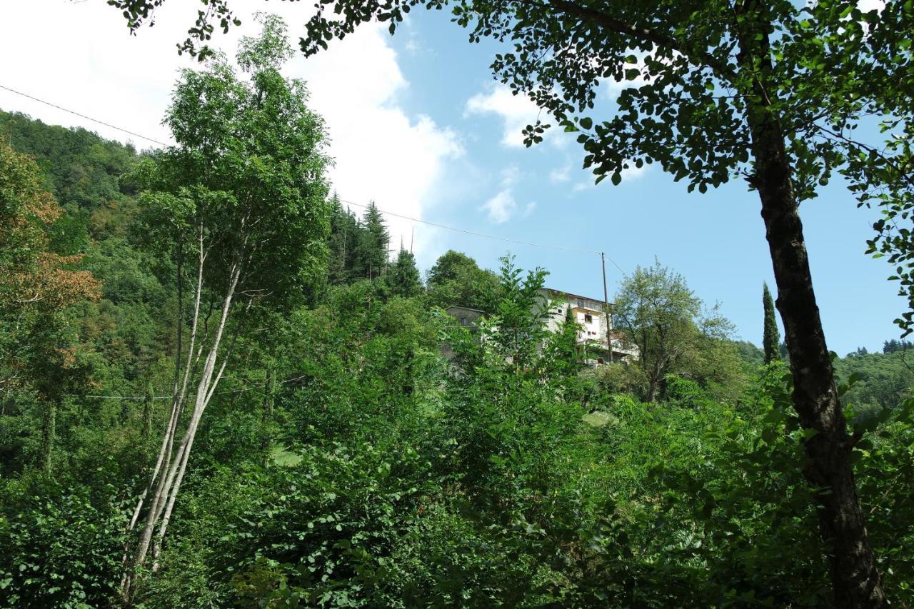 B&B Donnini Firenzuola Exterior photo