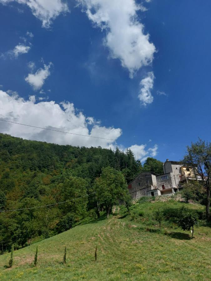 B&B Donnini Firenzuola Exterior photo